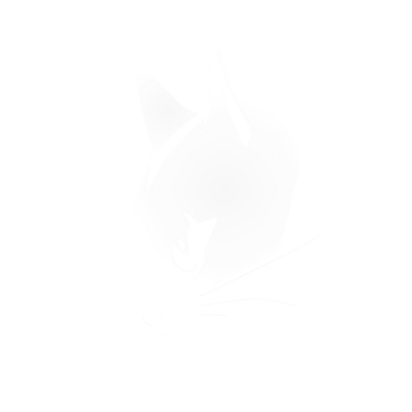 Gaming Eye